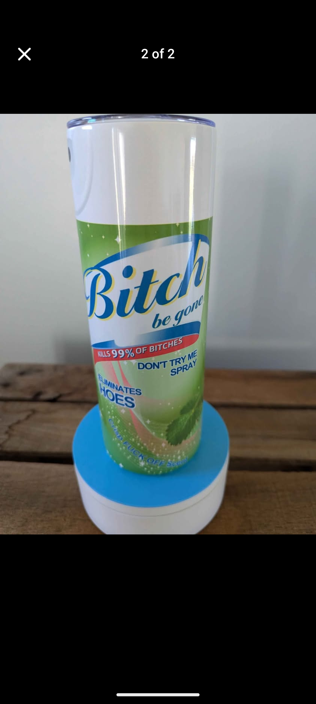 Stainless Steel Tumbler 20oz - Bitch Be Gone Mint